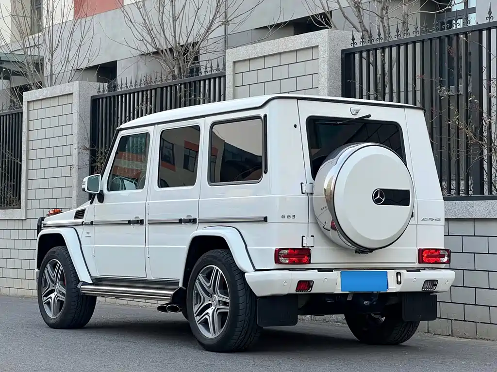 Mercedes-Benz G-Class AMG 2014 — фото 3