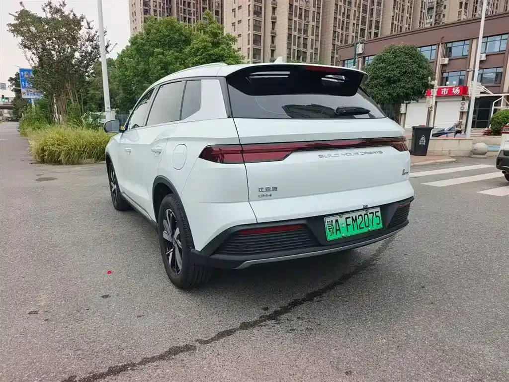 BYD Pro New Energy 2023 — фото 6