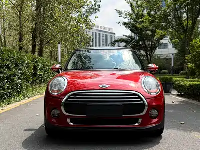 MINI MINI 2015