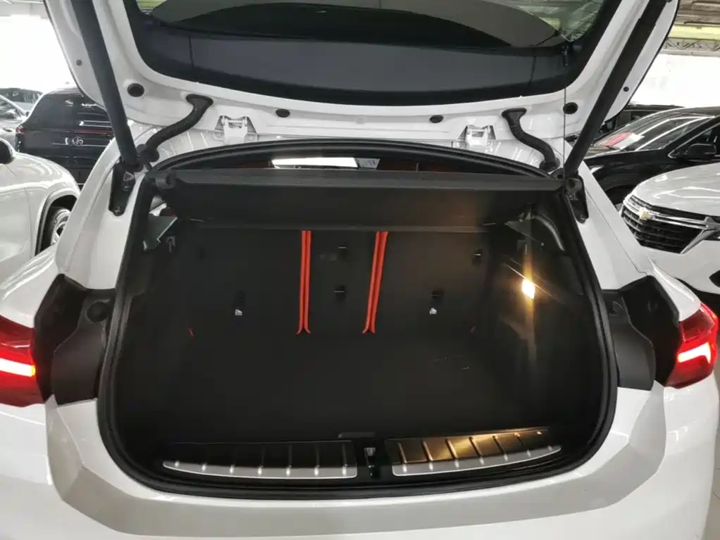 BMW X2 2021 — фото 19