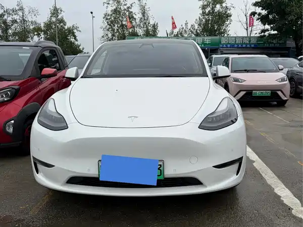 Tesla Model Y 2021