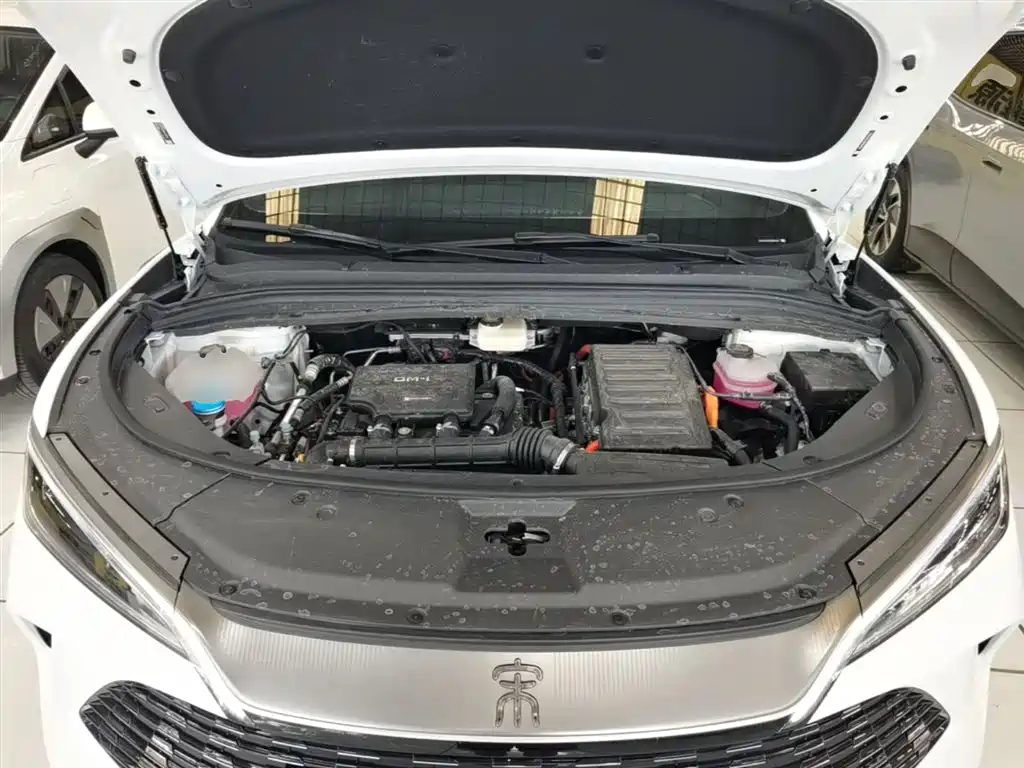 BYD L DM-i 2025 — фото 20