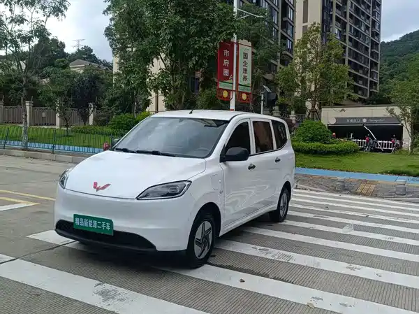 Wuling Hongguang New Energy 2024