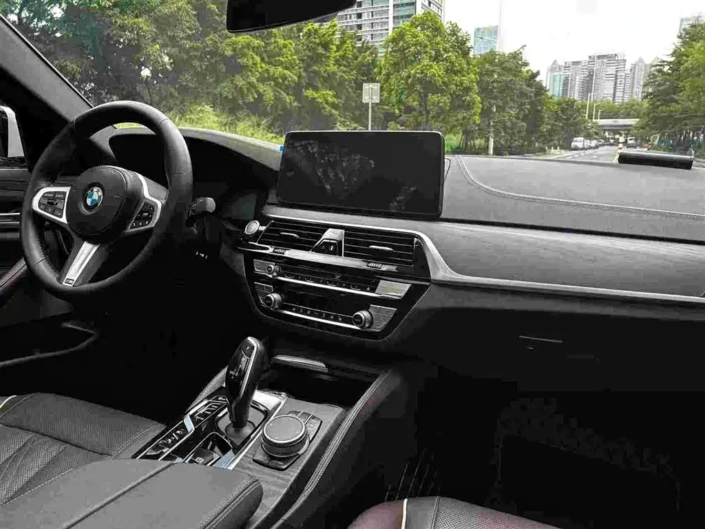 BMW 5 Series New Energy 2021