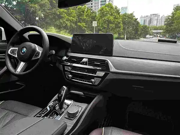 BMW 5 Series New Energy 2021