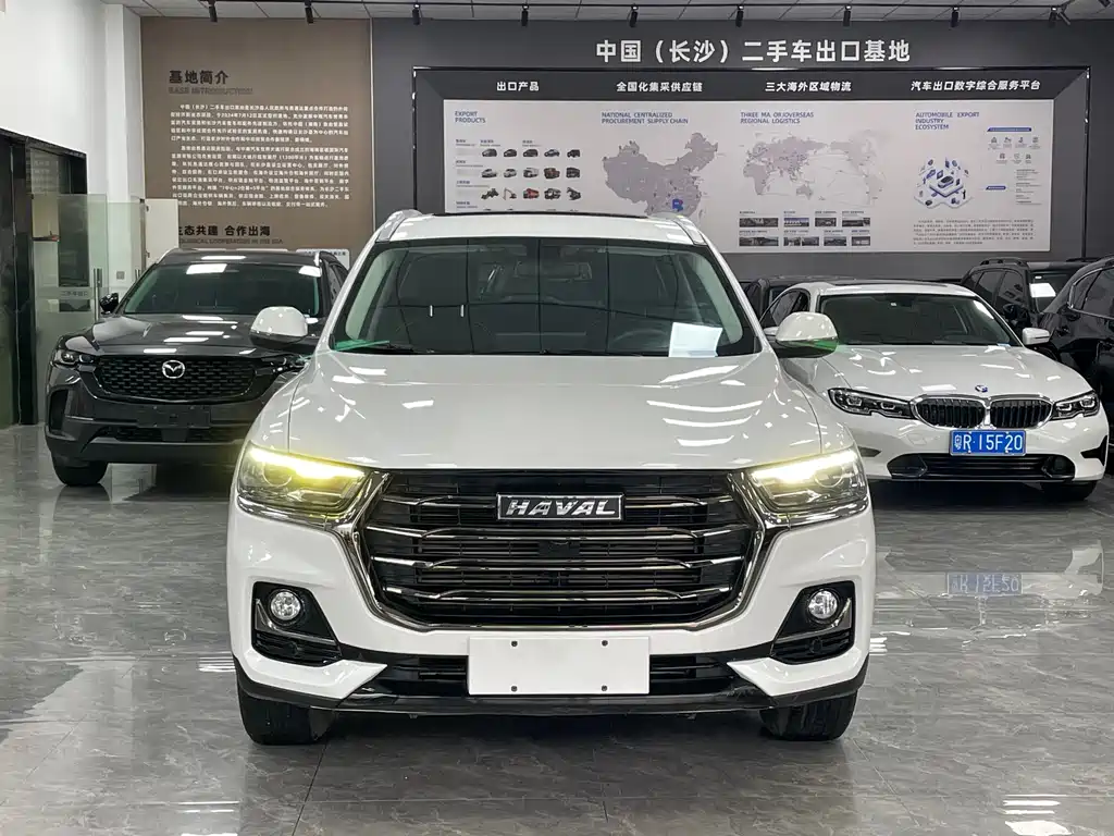 Haval H6 2021 — фото 2