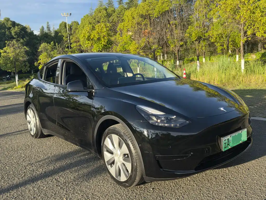 Tesla Model Y 2023 — фото 3