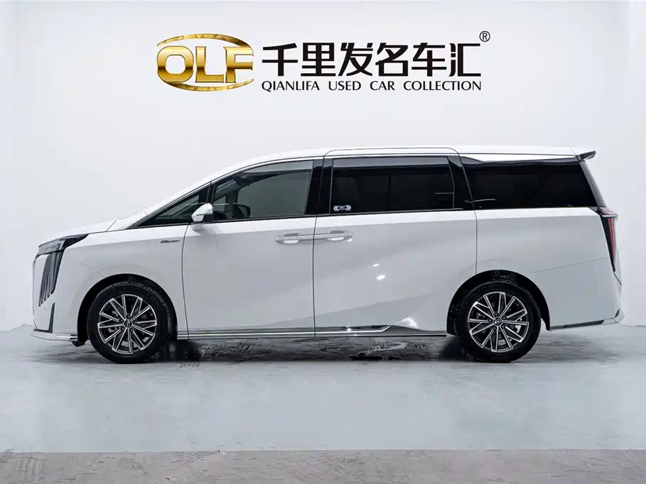 GAC Motor Trumpchi M8 2023 — фото 8