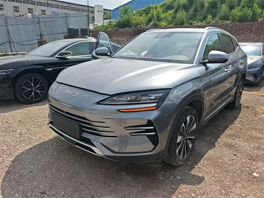 BYD PLUS New Energy 2024 — фото 2