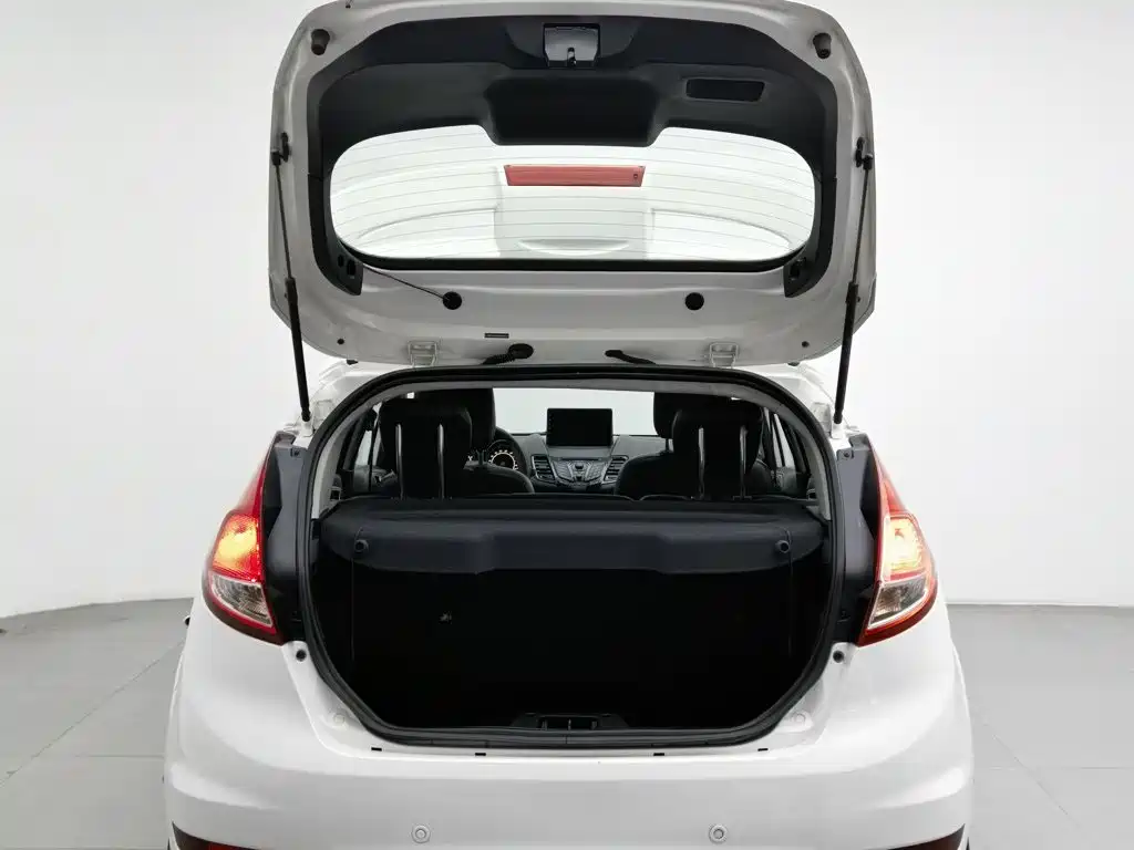 Ford Fiesta 2015 — фото 16