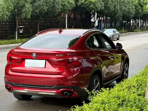 BMW X6 2015