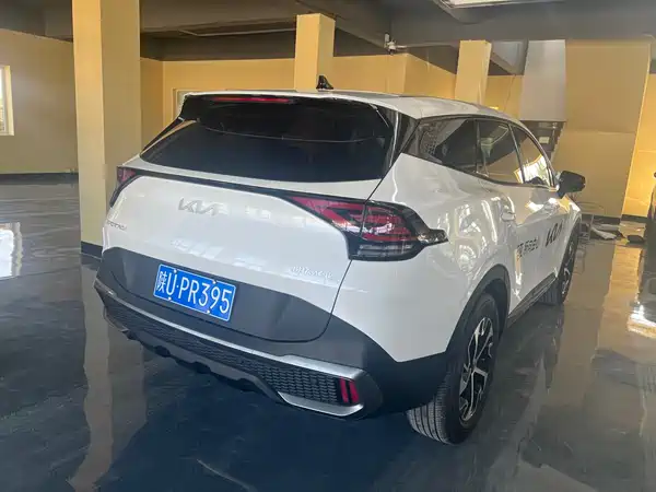 Kia Lion Platinum Expands The Boundary 2025