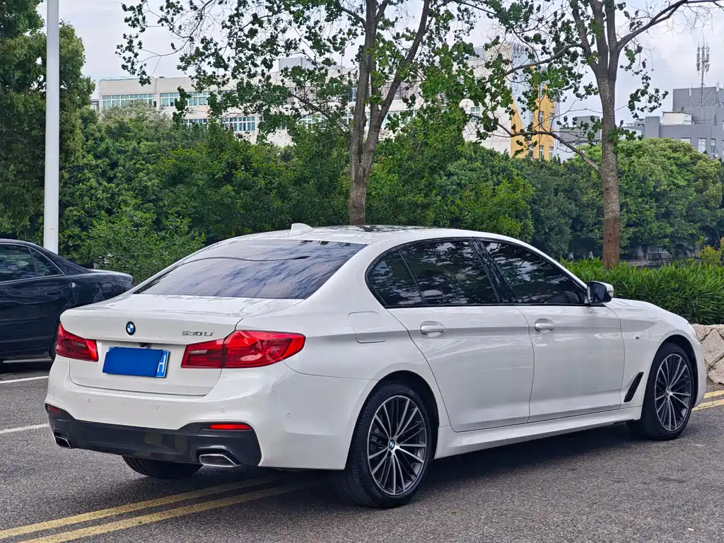 BMW 5 Series 2019 — фото 13