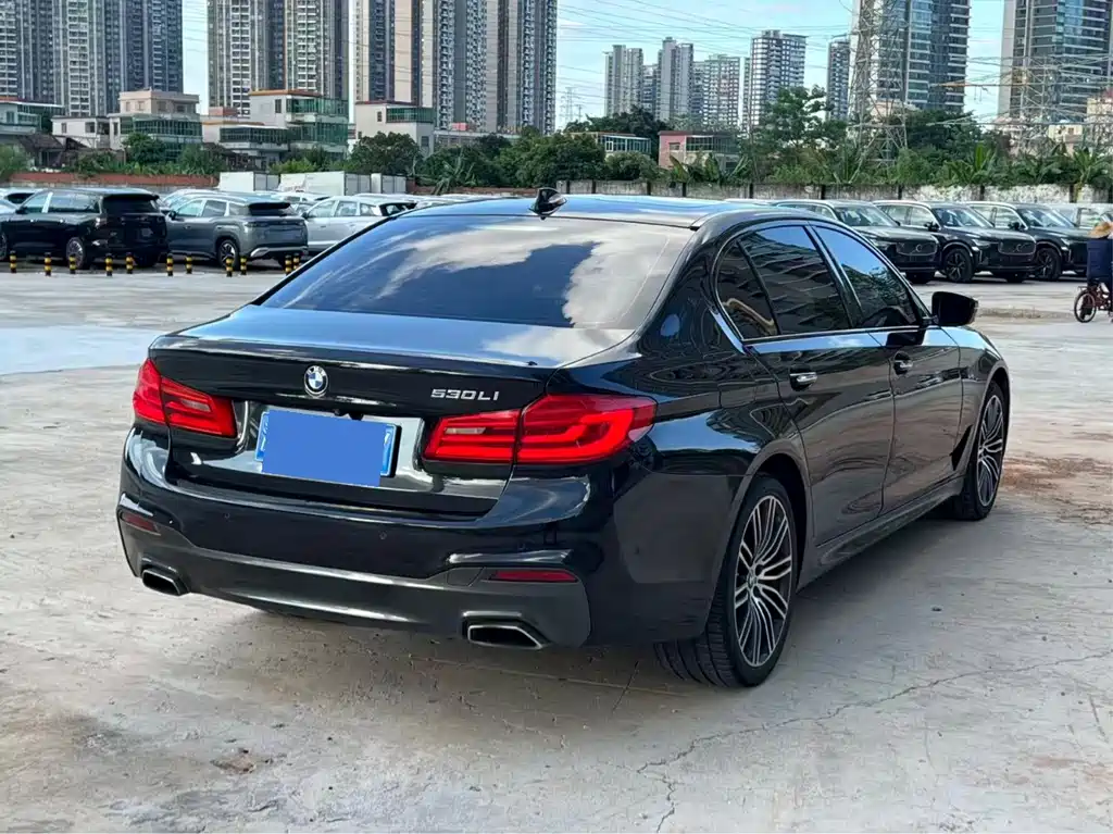 BMW 5 Series 2019 — фото 3