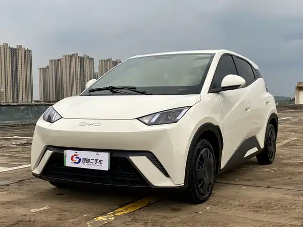 BYD Seagull 2024