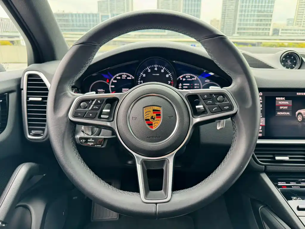 Porsche Cayenne 2020 — фото 11
