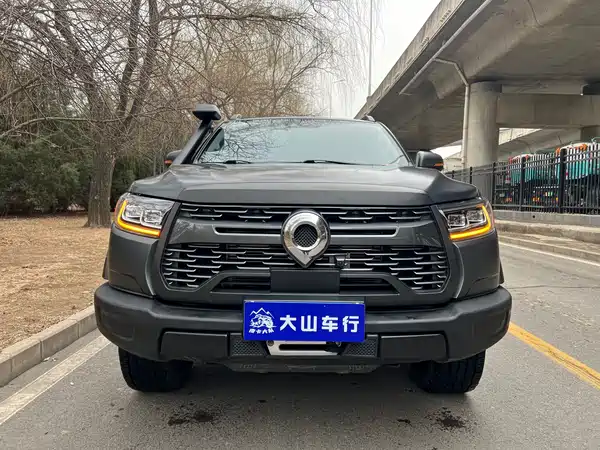 Great Wall Poer 2021