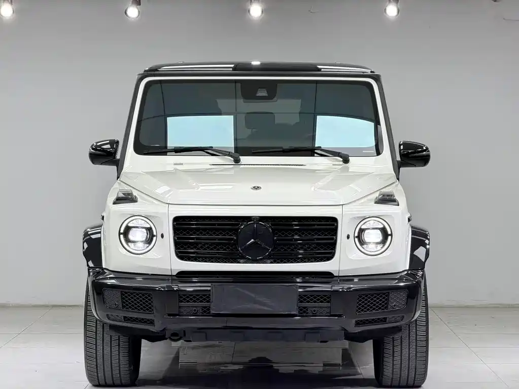 Mercedes-Benz G-Class 2020 — фото 2