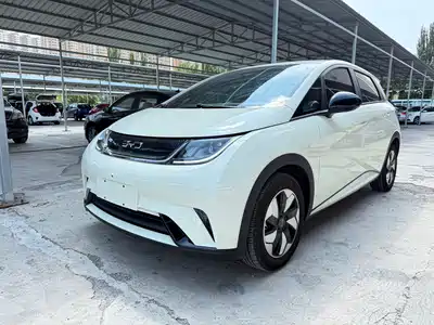 BYD Dolphin 2025