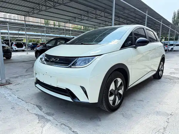 BYD Dolphin 2025