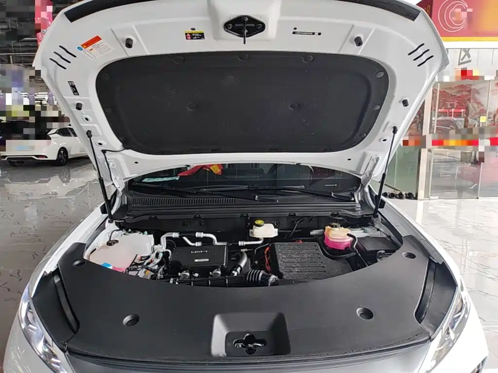 BYD Song Pro New Energy 2025 — фото 20