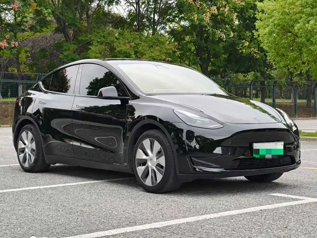 Tesla Model Y 2024 — фото 3