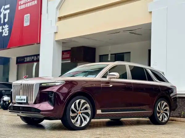 Hongqi E-HS9 2021