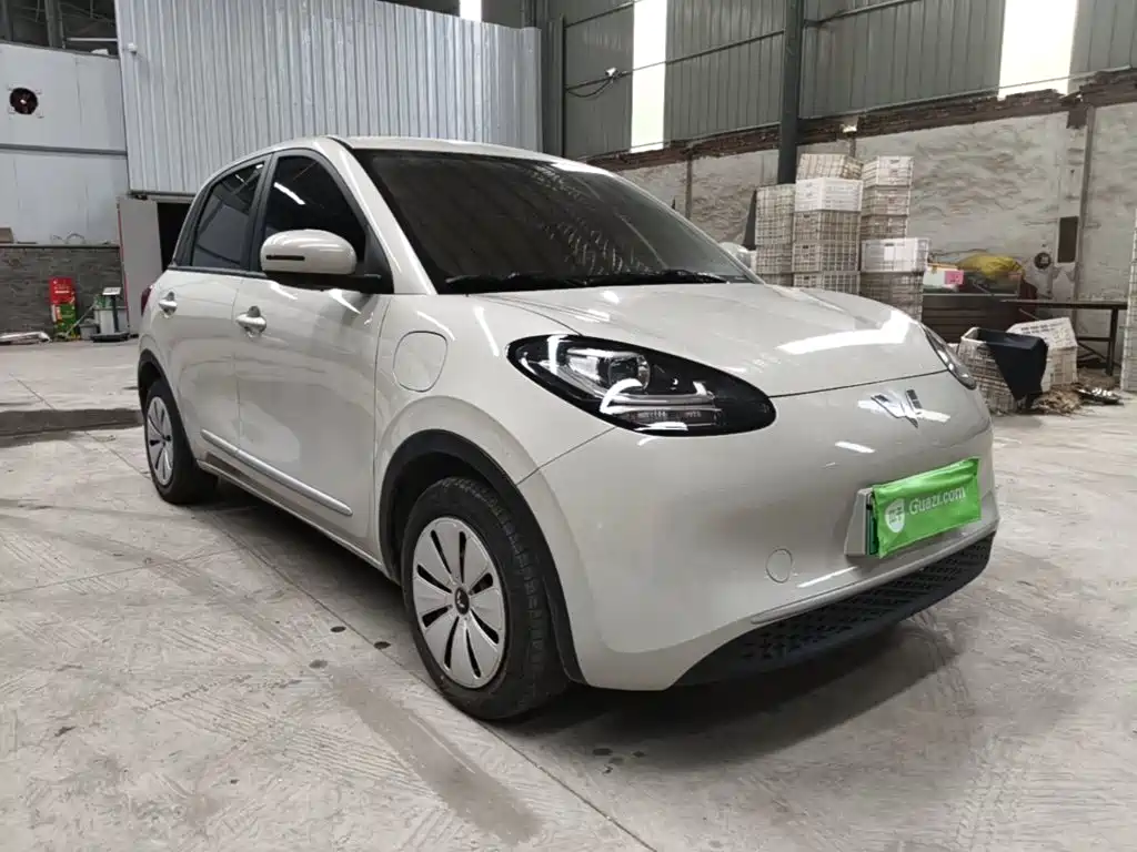 Wuling Bingo 2024