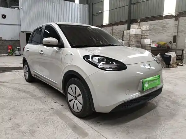 Wuling Bingo 2024