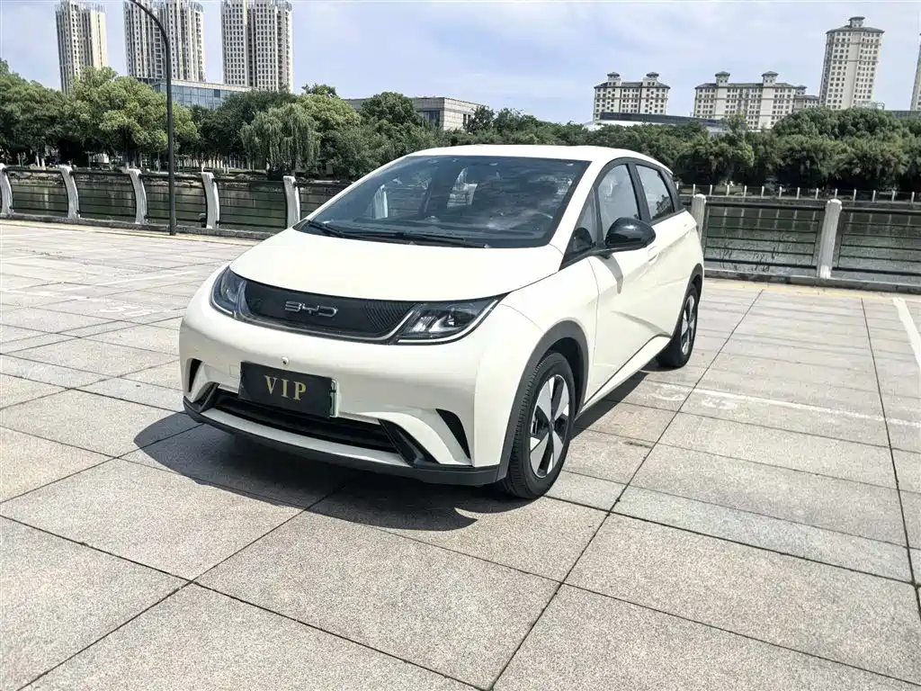 BYD Dolphin 2023 — фото 1