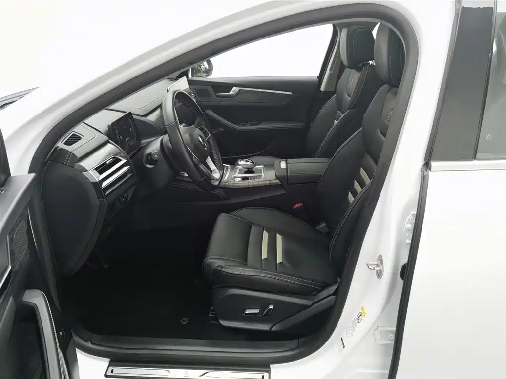 BYD Qin Pro NEV 2019 — фото 10