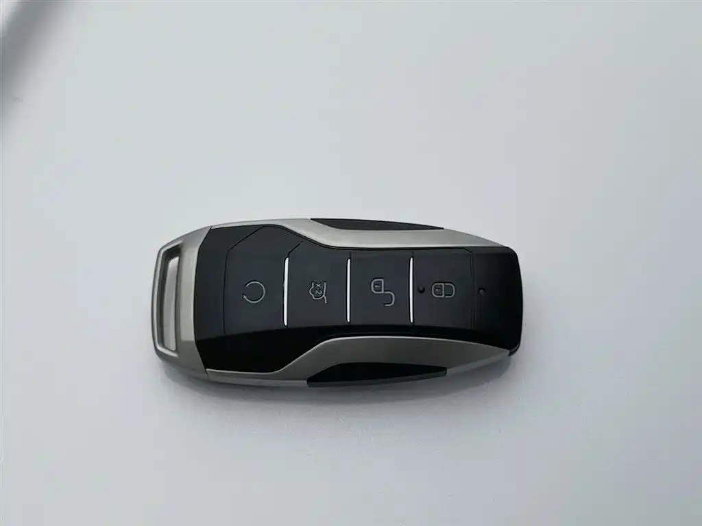 BYD Qin Pro NEV 2019 — фото 19