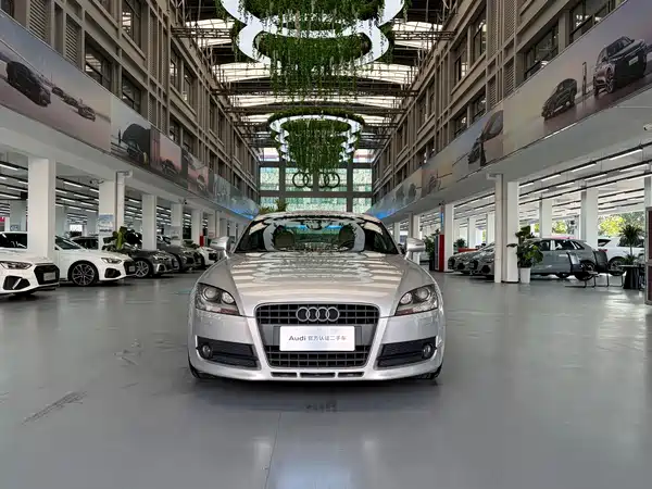 Audi TT 2009