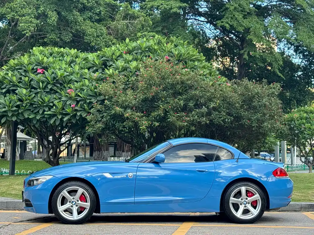 BMW Z4 2010