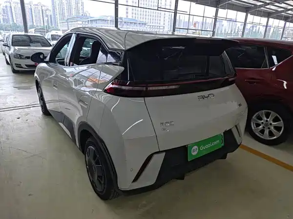 BYD Seagull 2024
