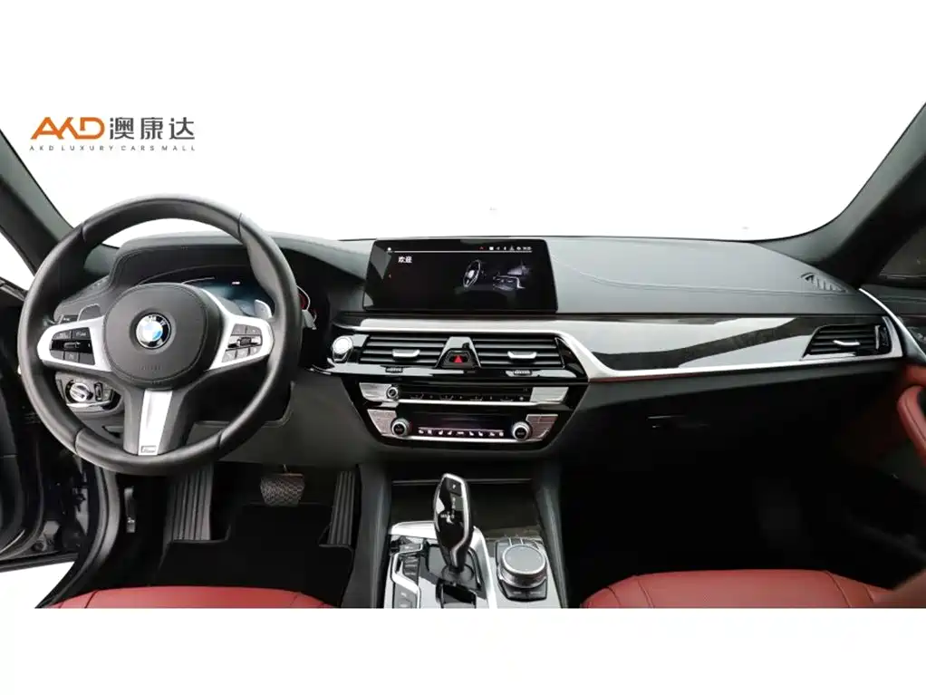 BMW 5 Series 2020