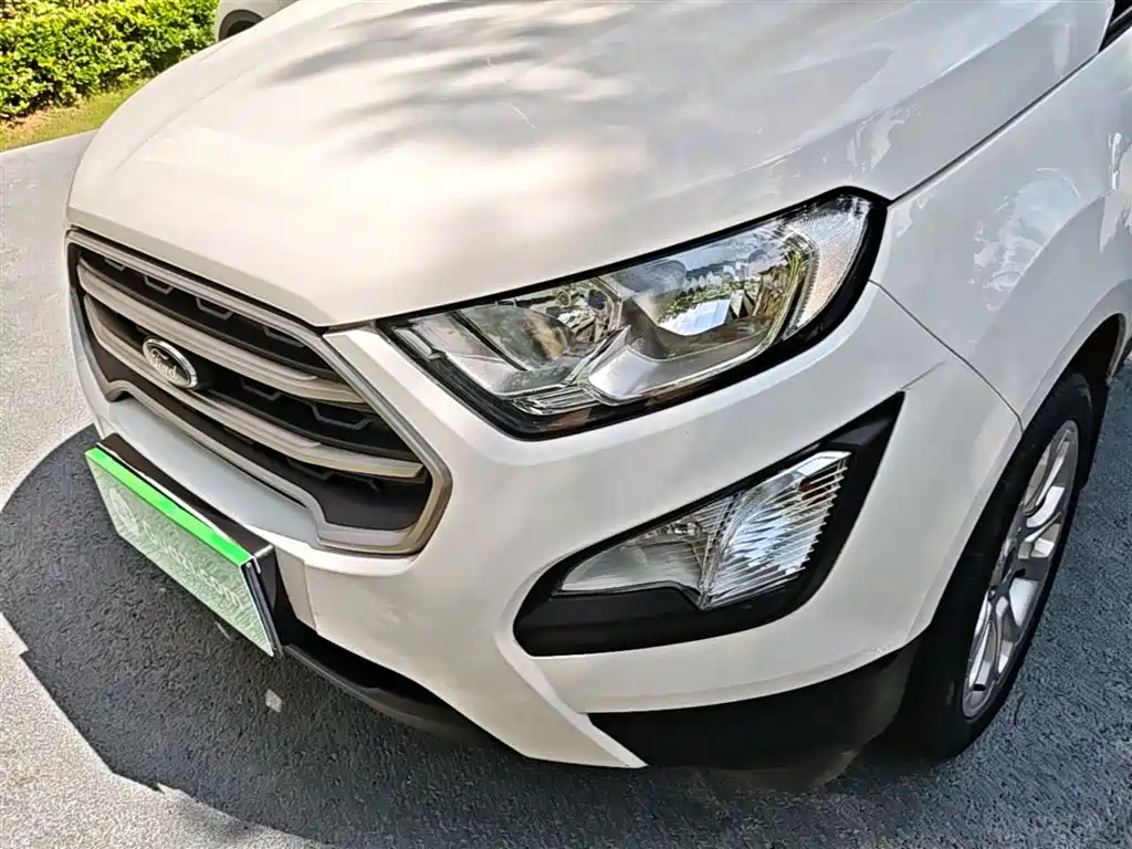Ford Ecosport 2017 — фото 24