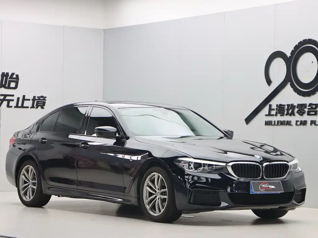BMW 5 Series 2019