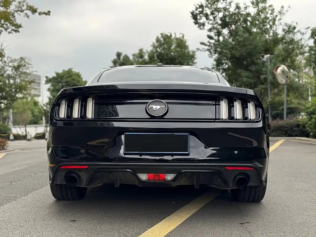 Ford Mustang 2017 — фото 11