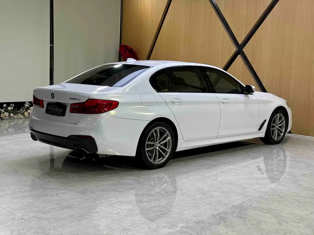 BMW 5 Series 2019 — фото 10