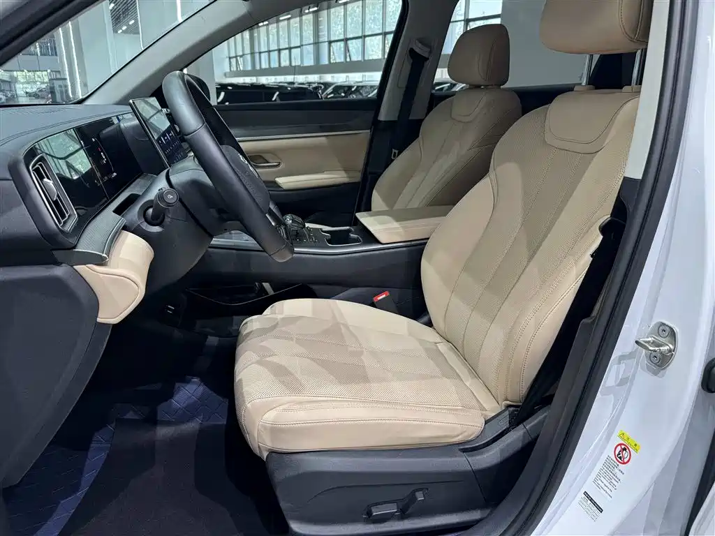 BYD Song Pro New Energy 2025 — фото 12