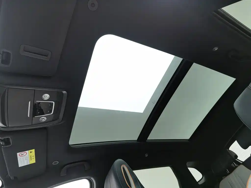 BYD PLUS New Energy 2023 — фото 14