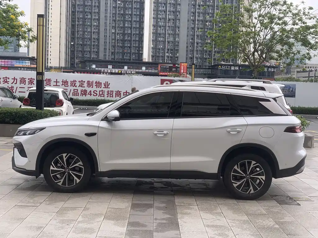 BYD Pro New Energy 2025 — фото 3