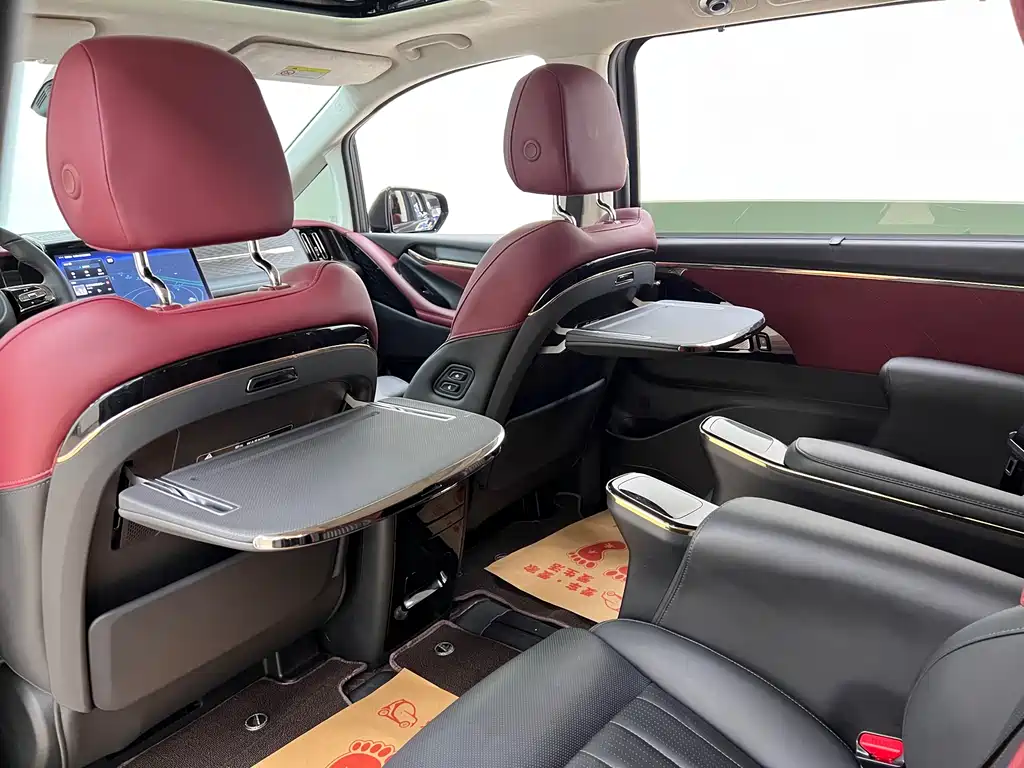 GAC Motor Trumpchi E9 2024 — фото 17