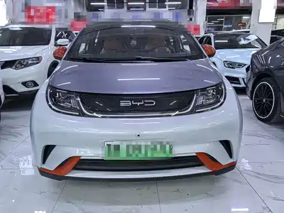 BYD Dolphin 2023