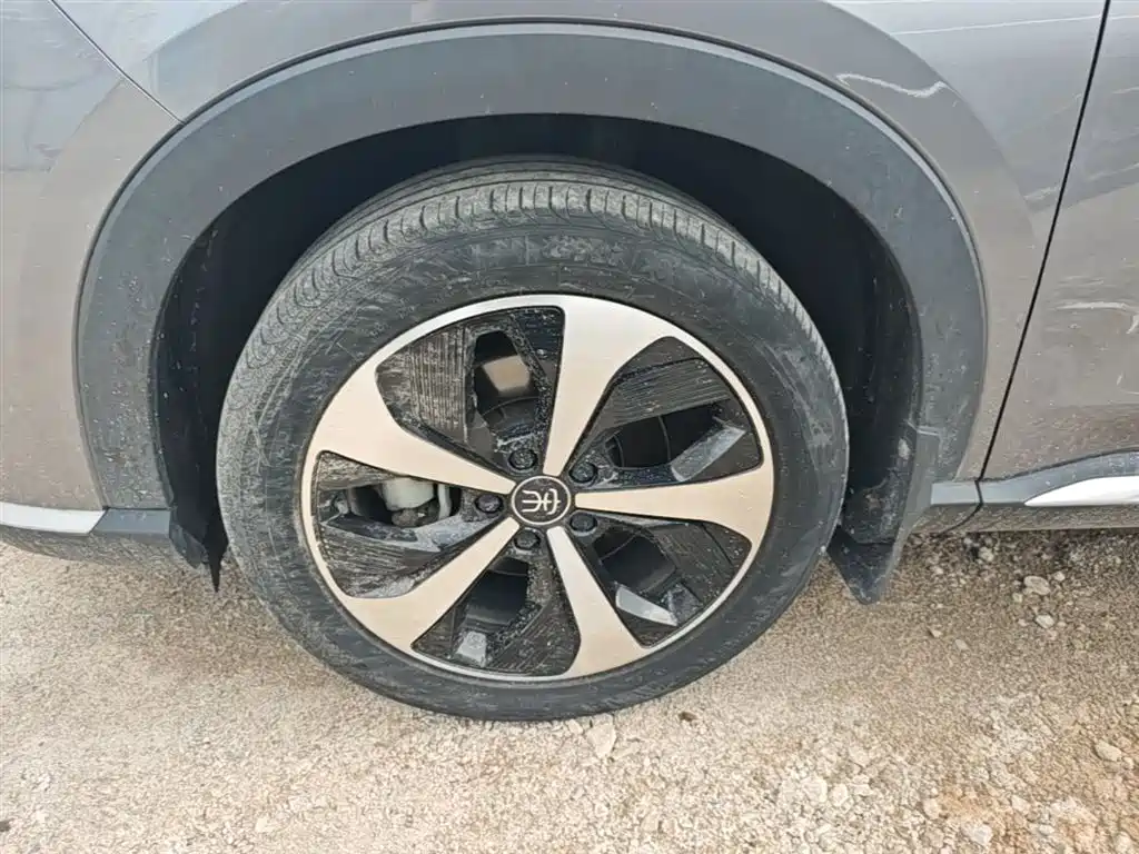 BYD PLUS New Energy 2022 — фото 23