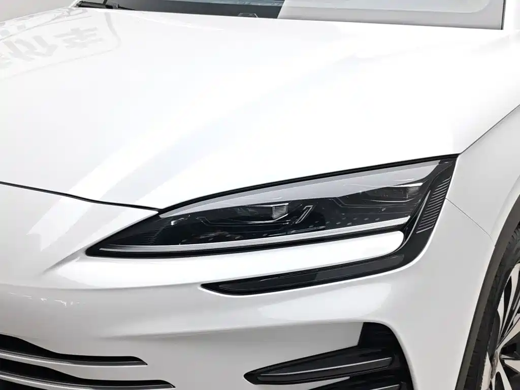 BYD Song PLUS New Energy 2024 — фото 7