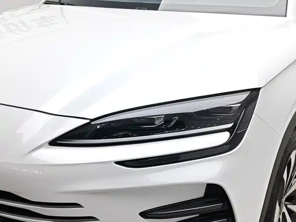 BYD Song PLUS New Energy 2024