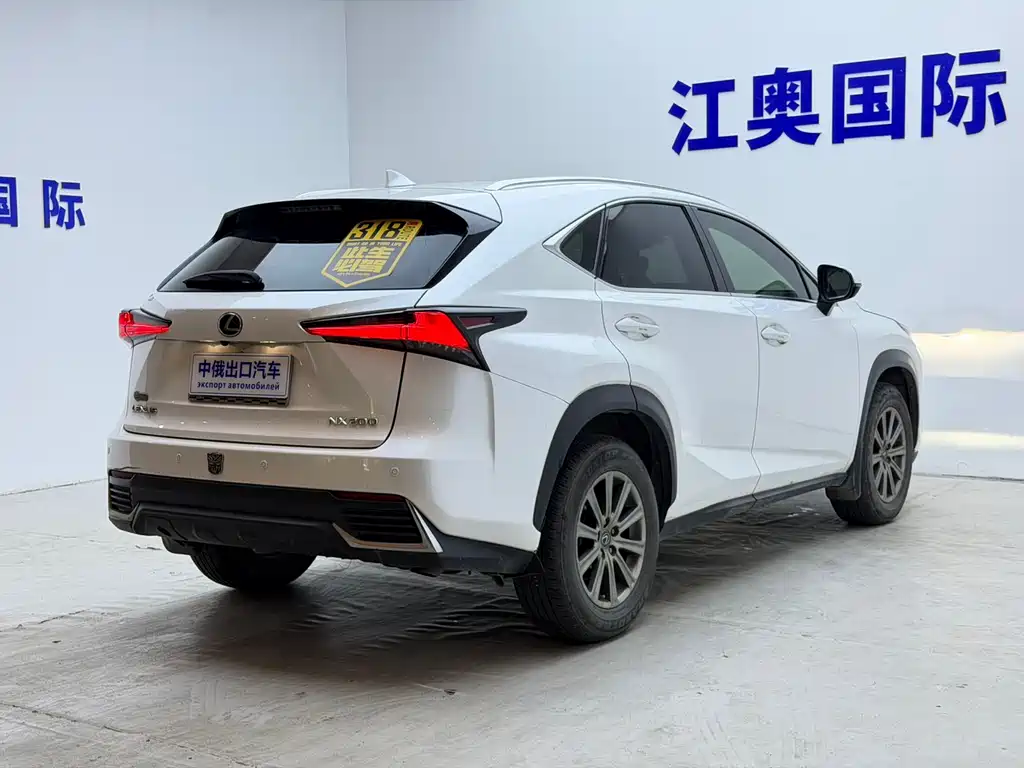 Lexus NX 2021 — фото 19