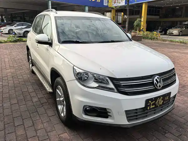 Volkswagen Tiguan 2010